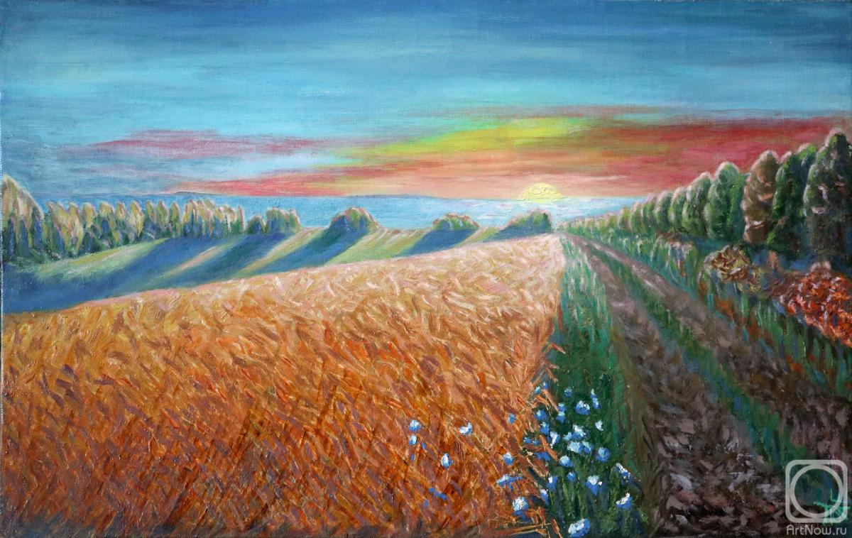 Polischuk Olga. Wheat field. In the colors of the evening sunset