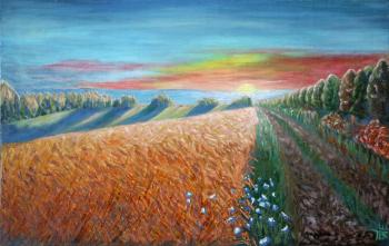 Wheat field. In the colors of the evening sunset. Polischuk Olga
