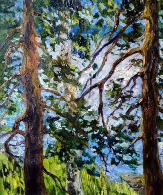 ����. ���������� �������