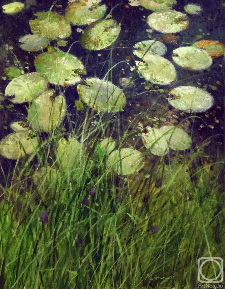 Savchenko Aleksey. Water lilies