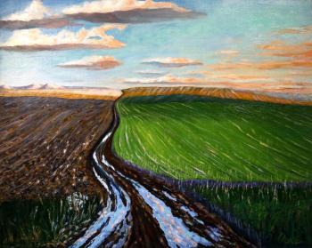 An endless field in the rays of sunset (Fields At Sunset). Polischuk Olga