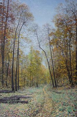 ������������ �������� ���� (�������� ������). ���������� ������