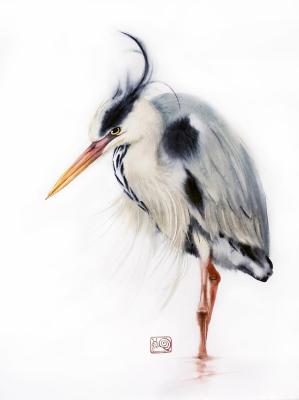 ������� ������ ������