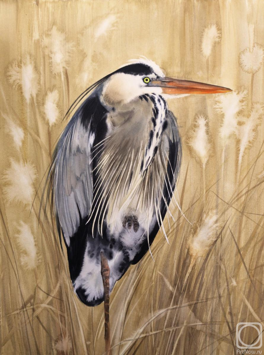 �������. ������� �����. ����� ����� � �������