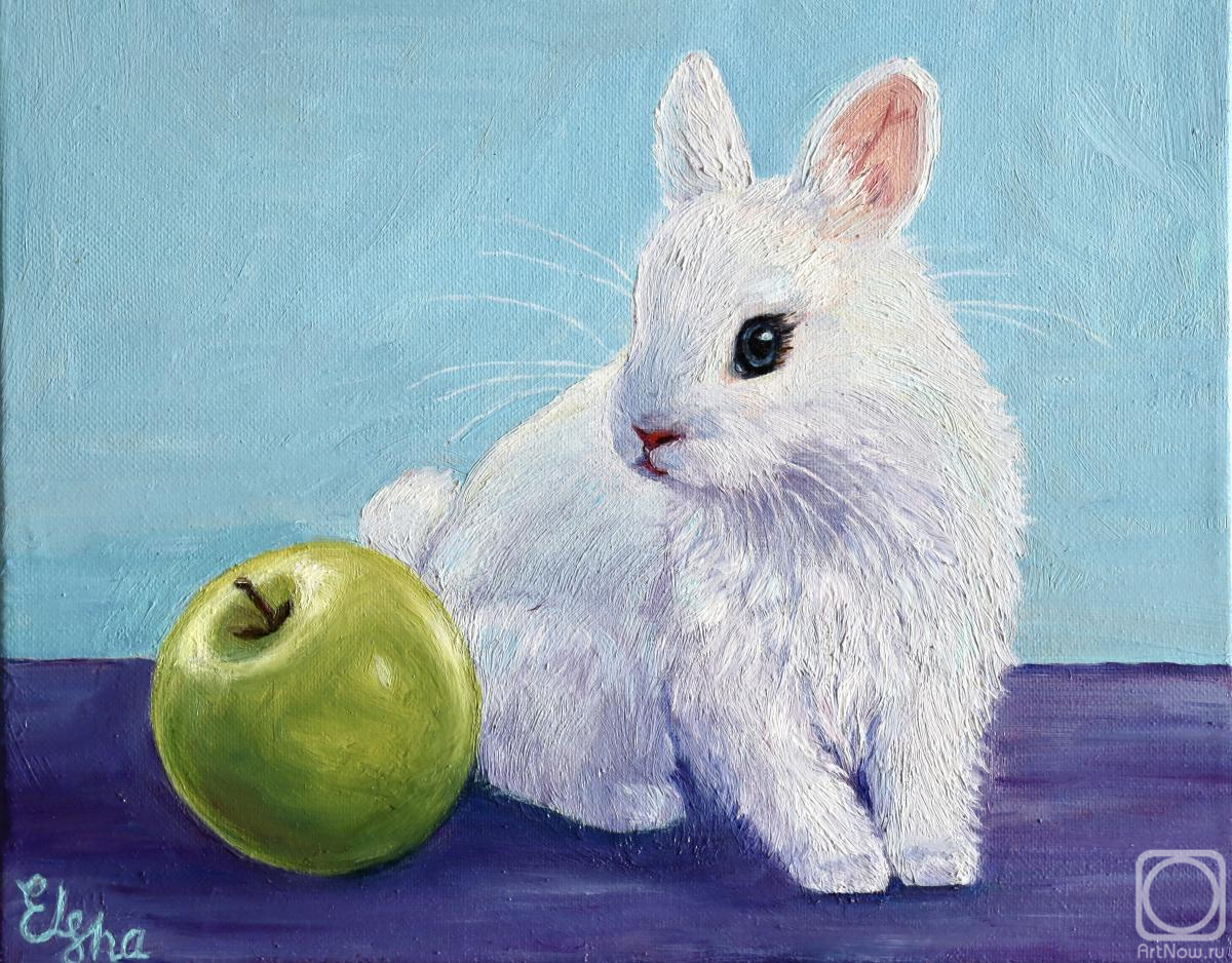 ������� ������ �� ������. ������� �����. ����� ������ � ������ ������