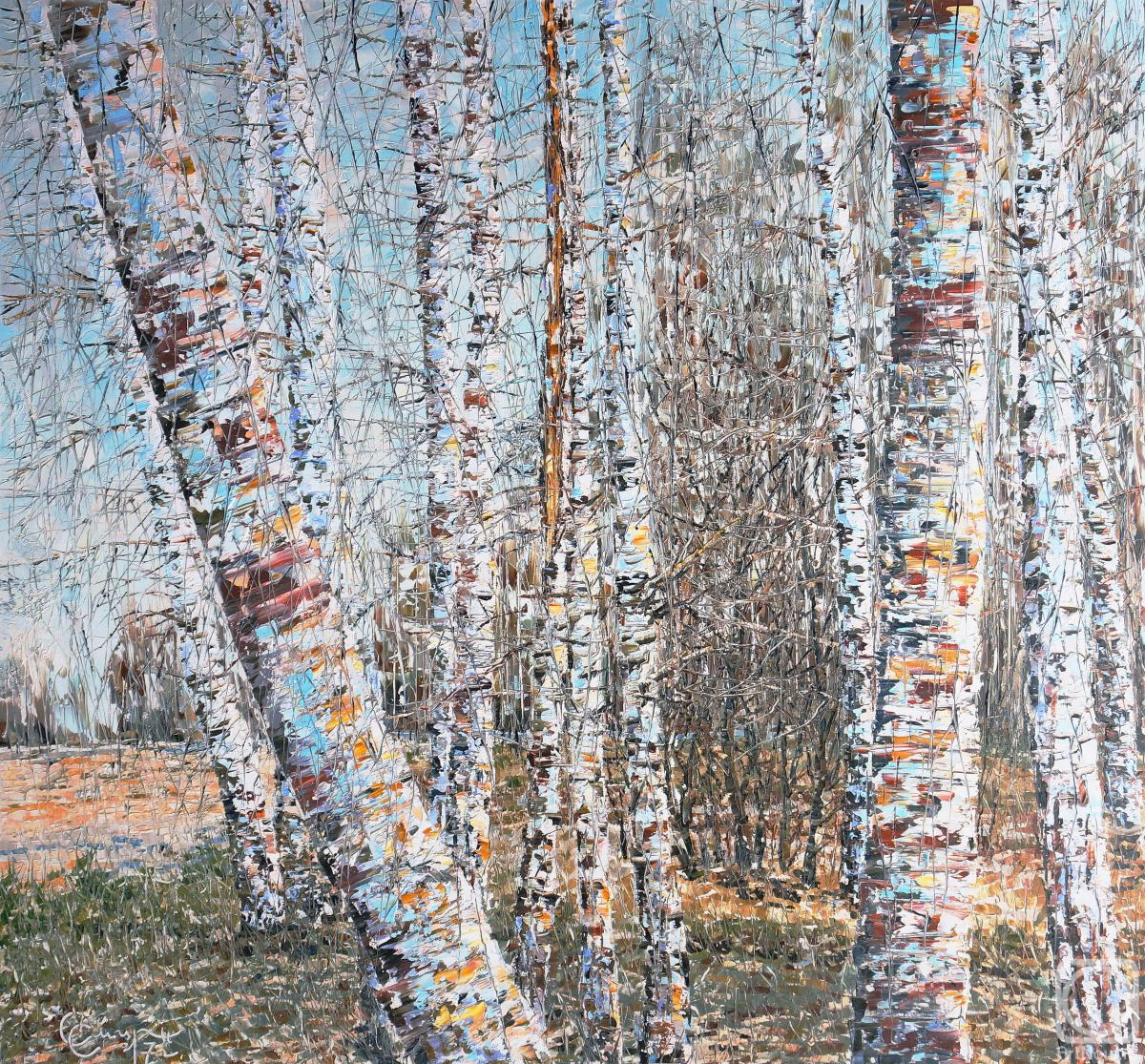 Smirnov Sergey. Compressed field, birch grove