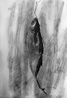 Bream (A Fish In Graphics). Rudnik Mihkail