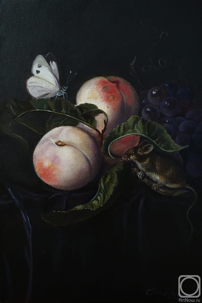 ������� ������ �� ������. ������ �����. ��������� � ���������. ����� �. ��� �����