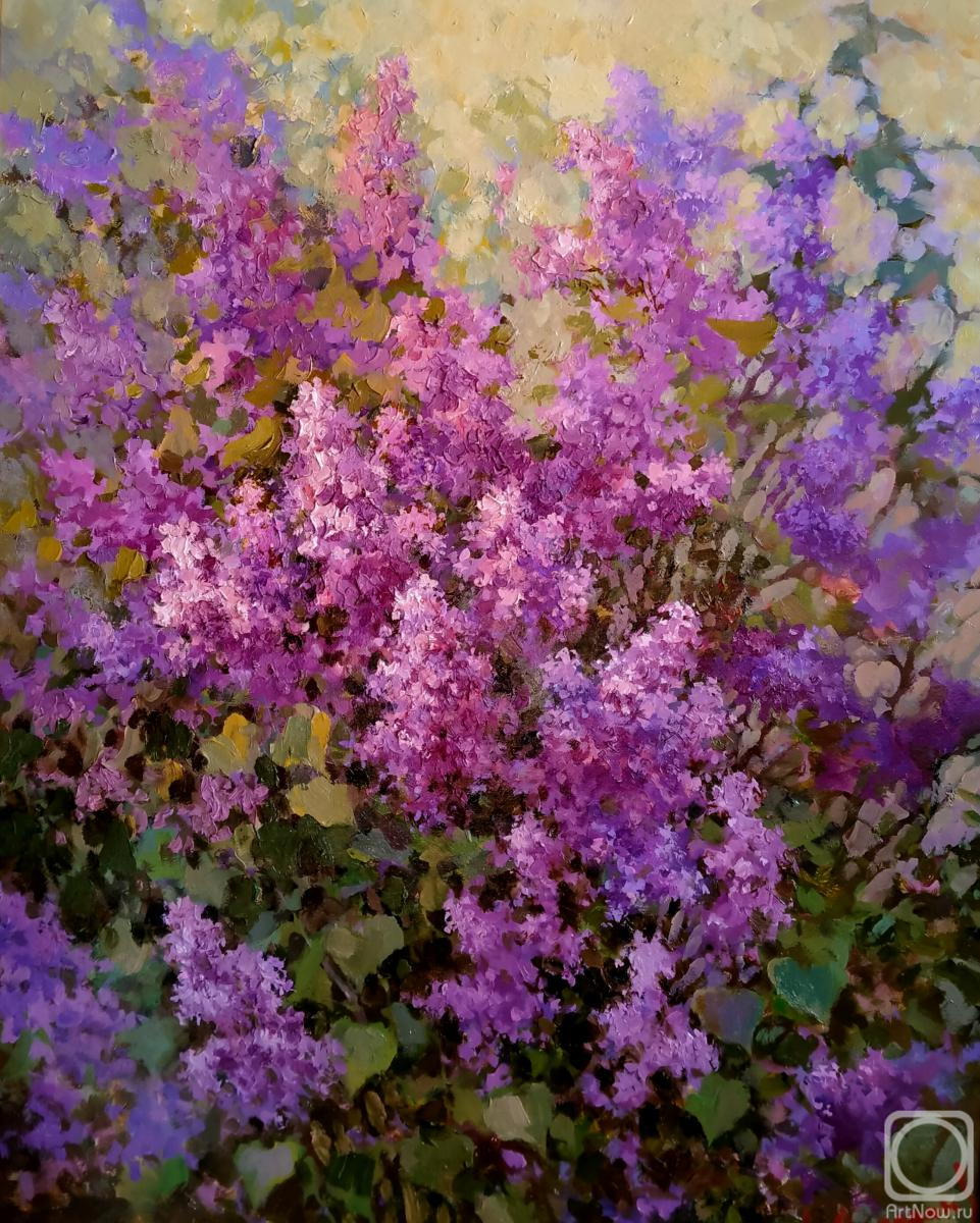 Aleksandrov Aleksandr. Lilac bush