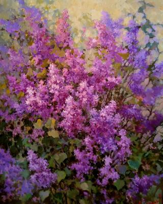 ������� ����� ������. ��������