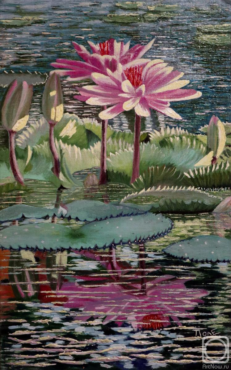 Polischuk Olga. Lotuses on the pond