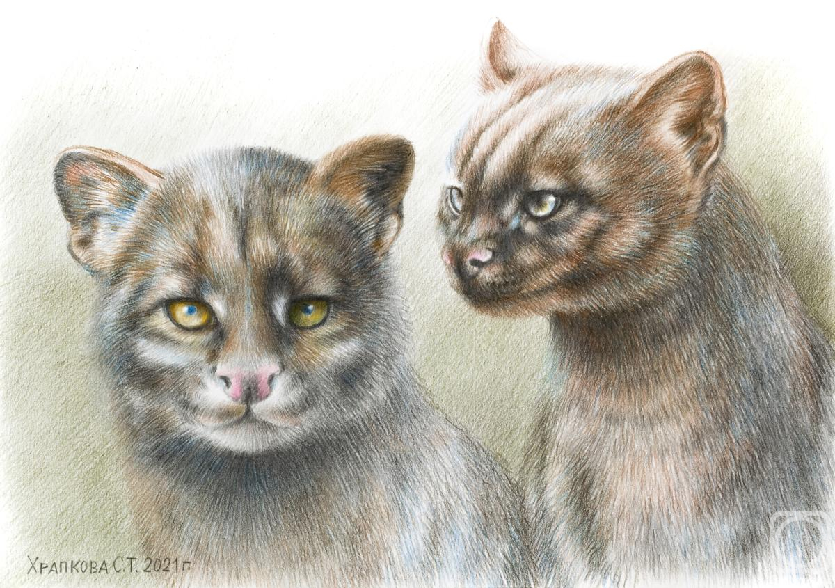 �������. �������� ��������. ���������