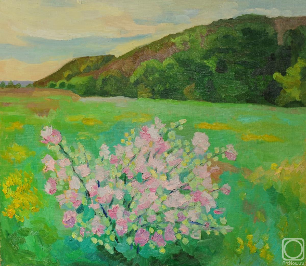 ������� ������ �� ������. ������� �������. ����� ������