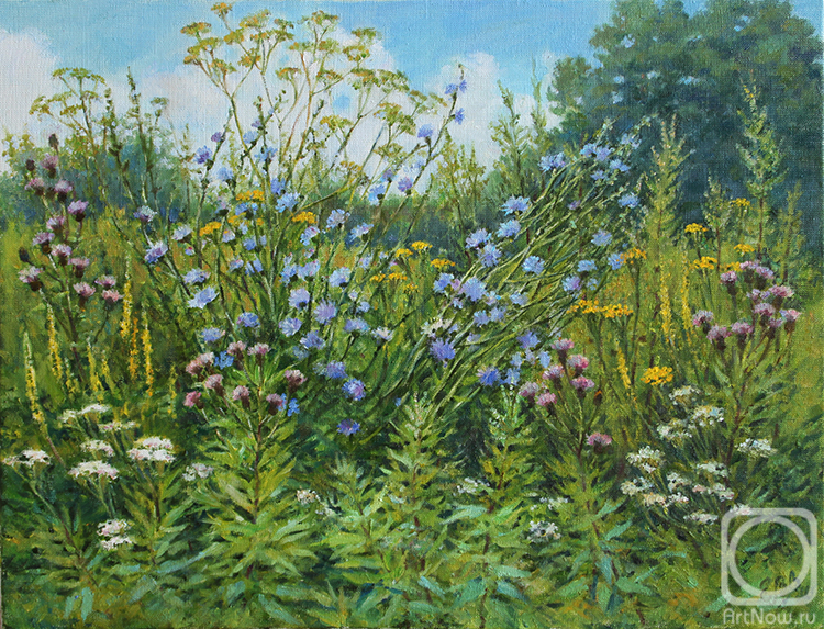 ������� ������ �� ������. �������� �����. ������ �������