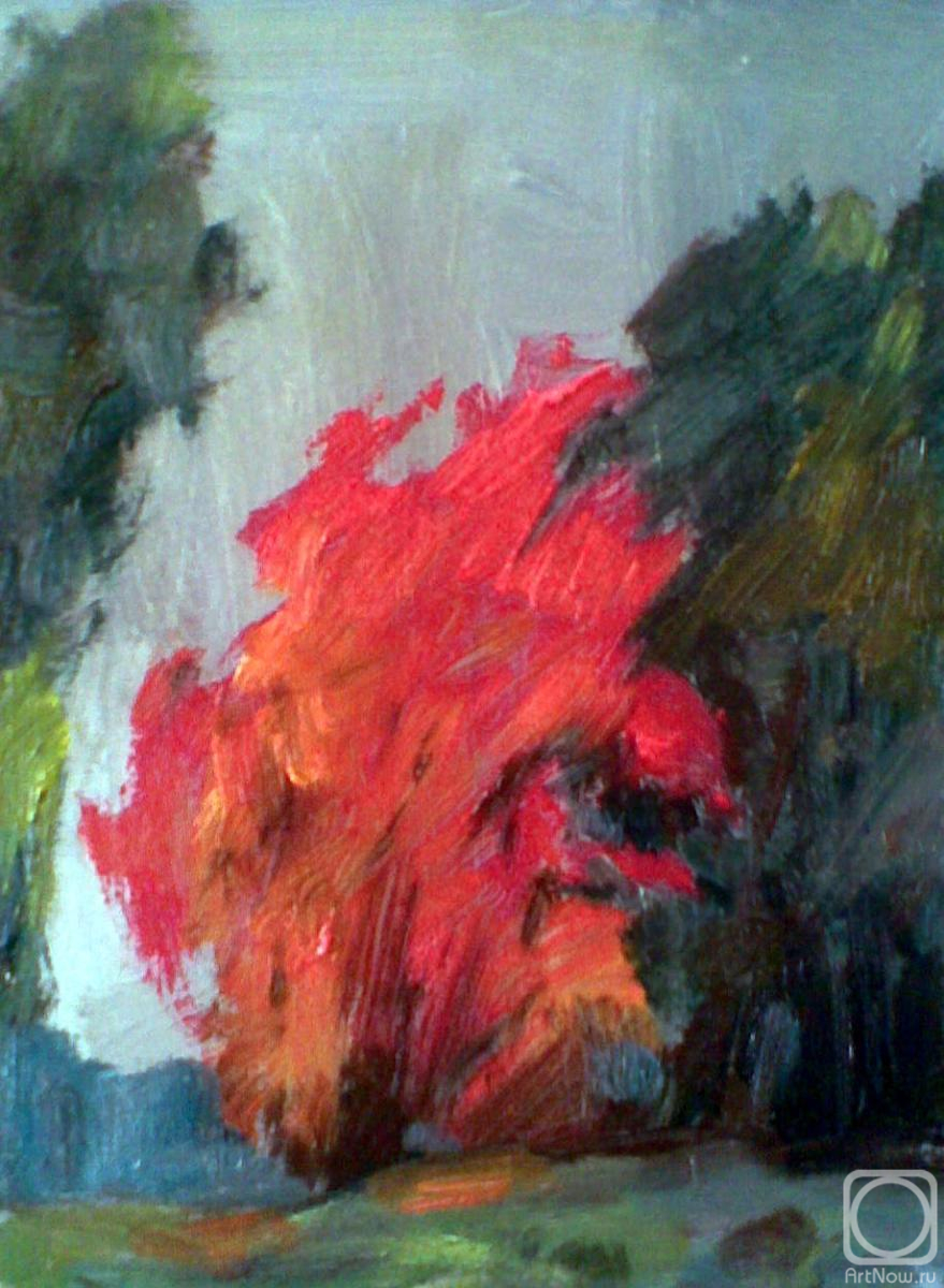 �������. ����� ���������. ��������� �����