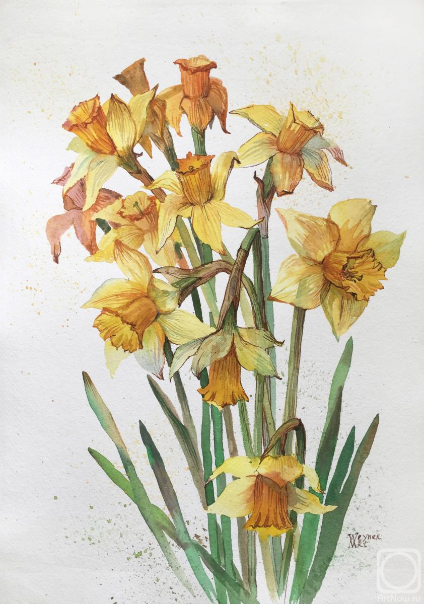 Veyner Nataliya. Daffodils. Spring flowers
