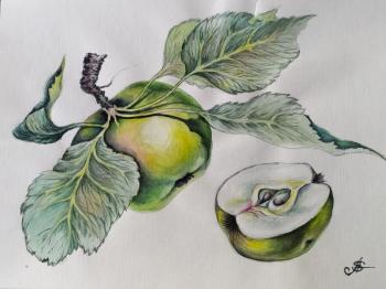 ������� ������. ��������� ��������