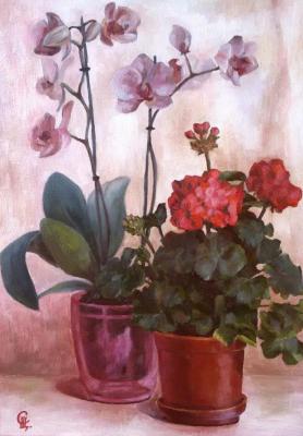 Geranium and Orchid Painting. Scherilya Svetlana