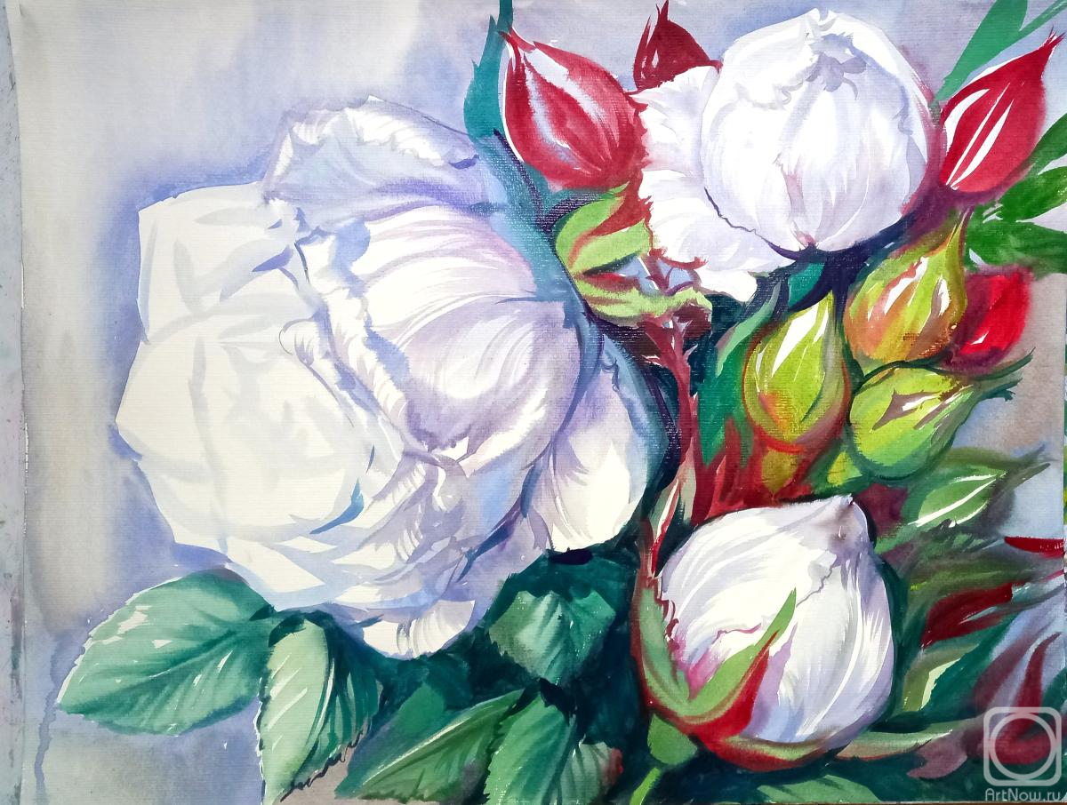 �������. ���������� ���������. ������� ����� ����