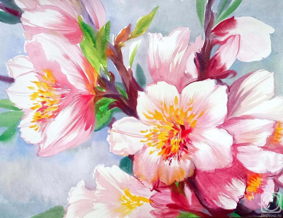 �������. ���������� ���������. ������� ������