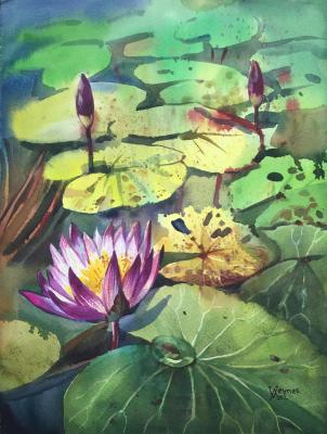 Lotus. Water lily (Painting A Water Lily). Veyner Nataliya