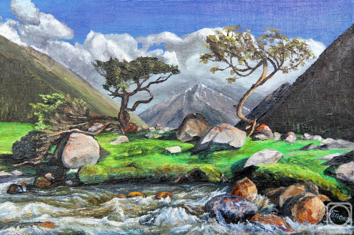 Gaponov Sergey. Juniper