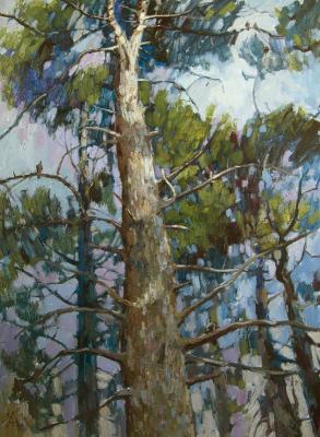 ������� ��� ������� �������