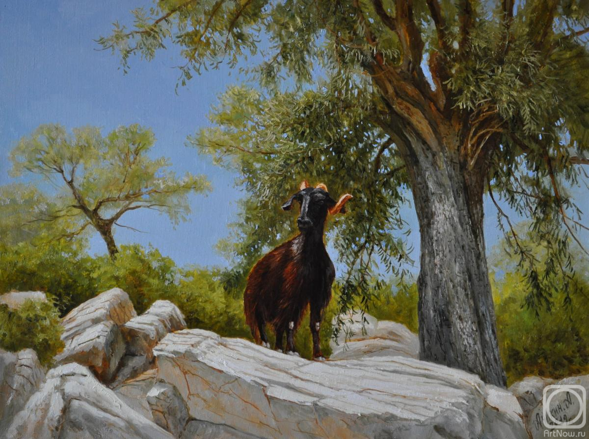 ������� ������ �� ������. ������ �������. � �����