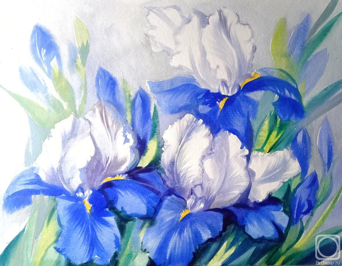 �������. ���������� ���������. ����� � ������ ����