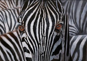 Zebra look. Sargsyan David