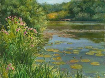 ����� ������ (����). �������� �����