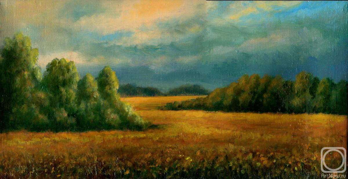 Abaimov Vladimir. Among the Fields in the Evening