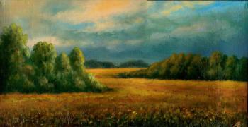 Among the Fields in the Evening. Abaimov Vladimir