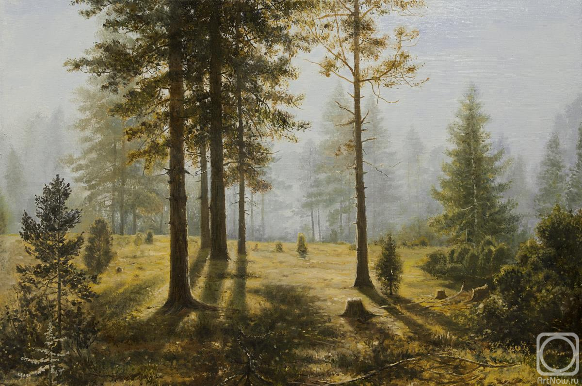 Сосновый бор картина сочинение. Лесной пейзаж Шишкин 1832-1898.