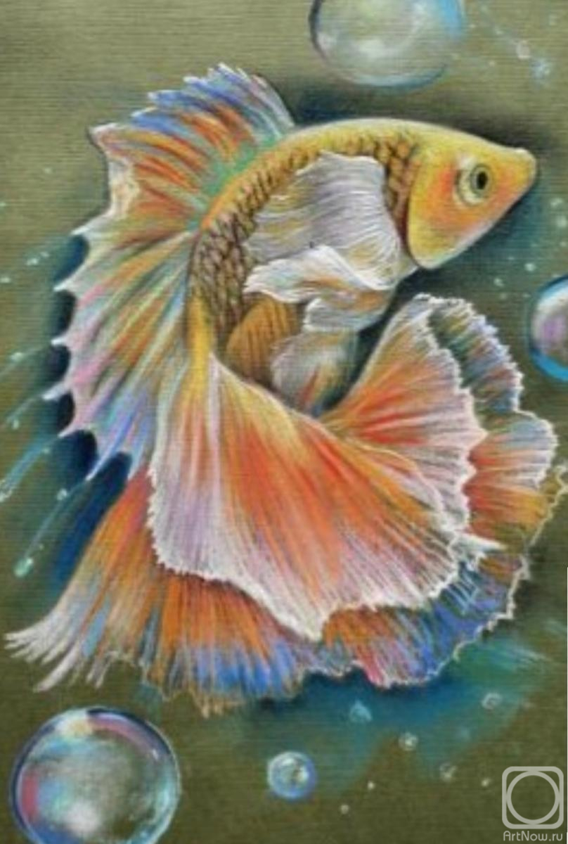 Sokolova Lyudmila. Goldfish