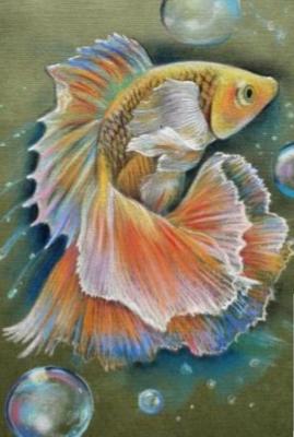 Goldfish. Sokolova Lyudmila