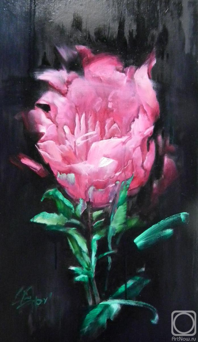 �������. ������� ����. ����� �������� ������