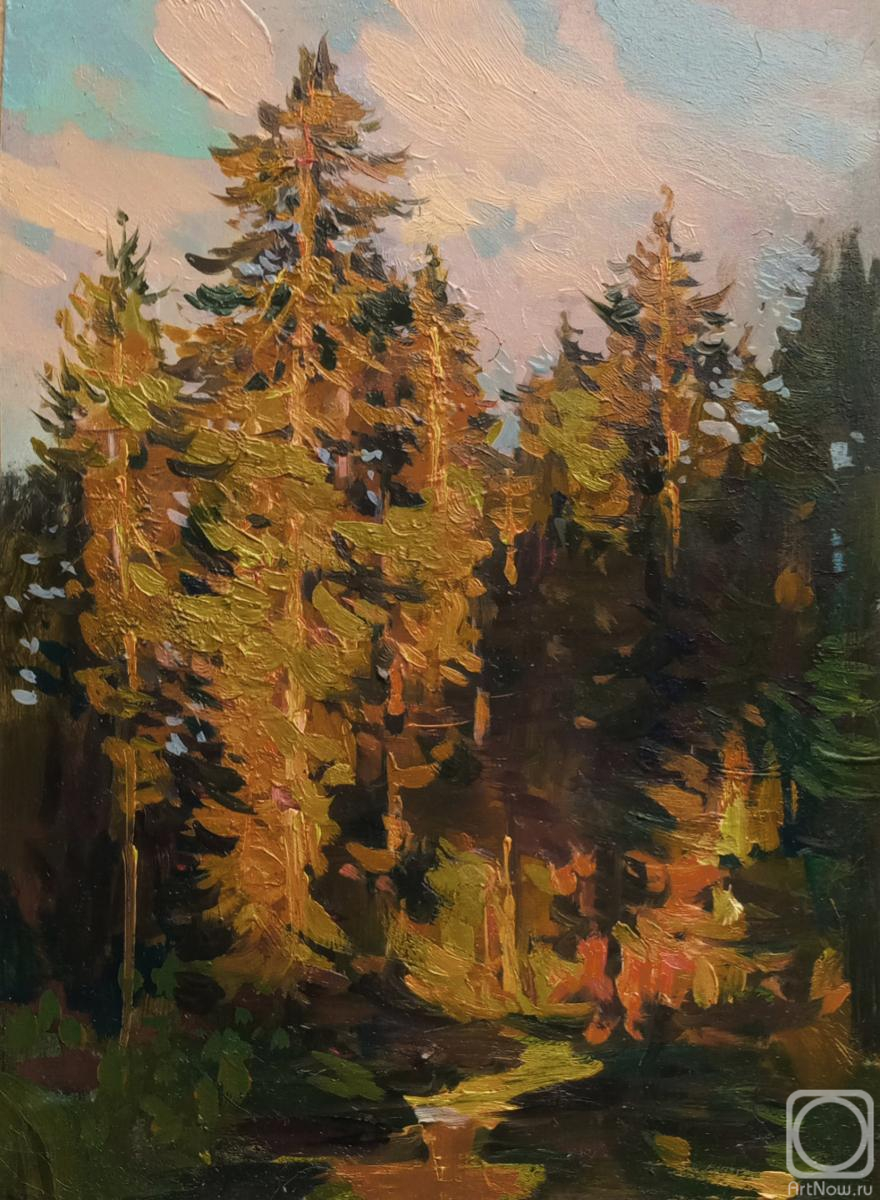 �������. ��������� �����. ������ �����