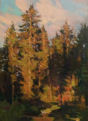 ������� ������� �����