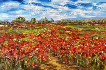Path in the Field of Poppies. Malivani Diana