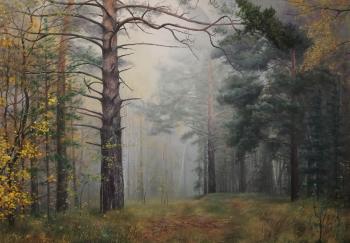 Pines in the fog. Balakirev Andrey