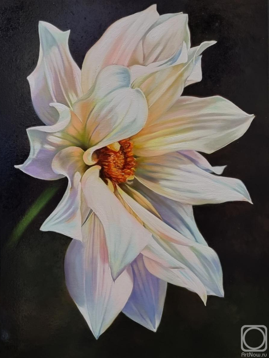 ������� ������ �� ������. ��������� ����. �����