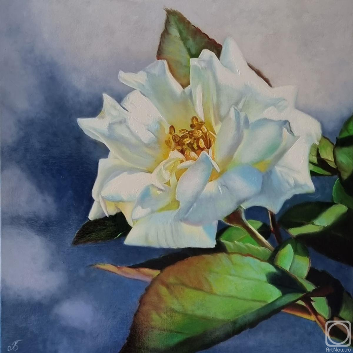 ������� ������ �� ������. ��������� ����. �������������