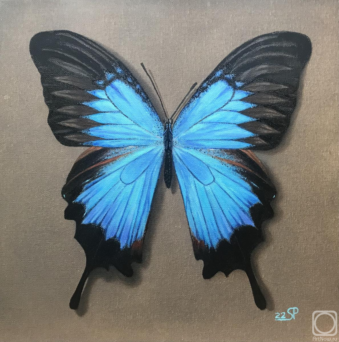 ������� ������ �� ������. ����������� ��������. �������