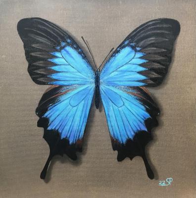 Butterfly. Pchelnikova Svetlana