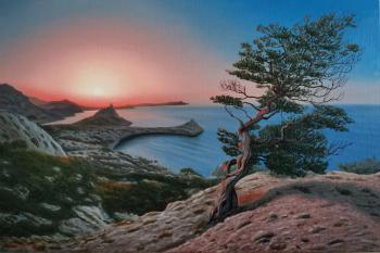 Crimean pine at dawn. Istomina Elena