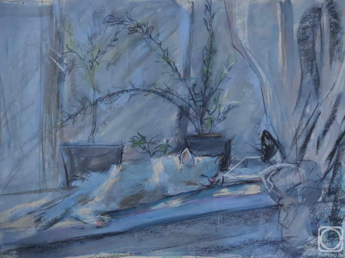 �������. ���� ����. ���