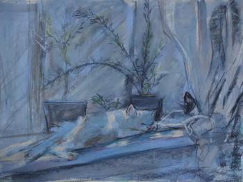 ������� �����