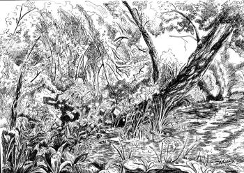 ������� �� ���������