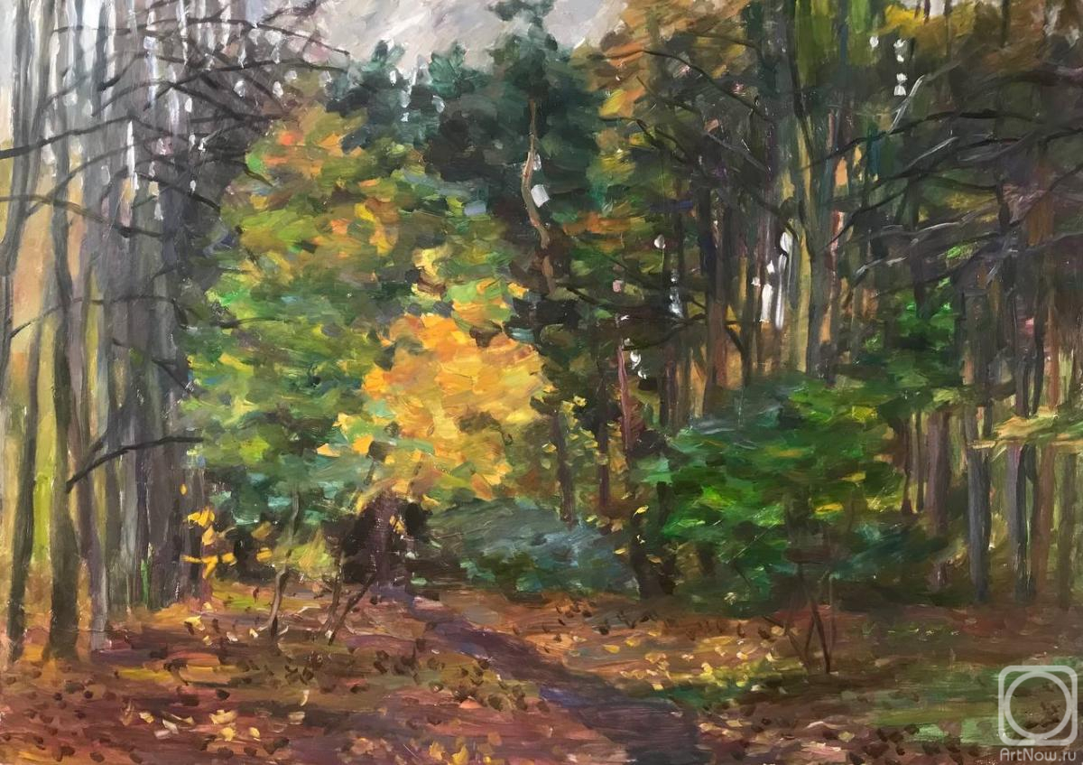 �������. ������ ��������. ������ �������� �������